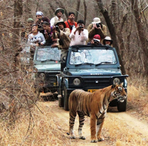 HERITAGE & WILDLIFE REVIVAL